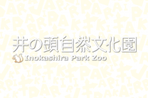 動物園コラボ「井の頭自然文化園×けものフレンズ」